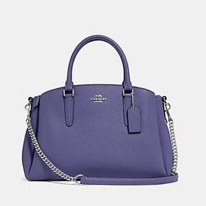 Coach Sage Carryall Bag